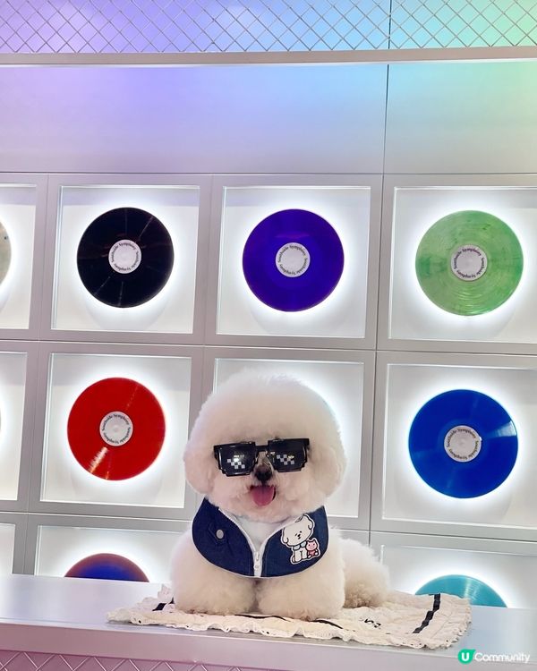 Hey bro , 想同我一樣咁型嗎😎