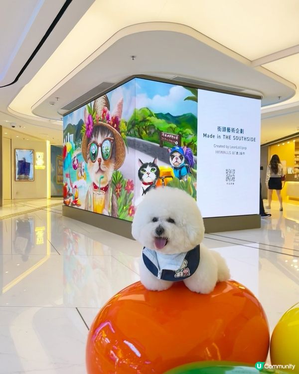 Hey bro , 想同我一樣咁型嗎😎