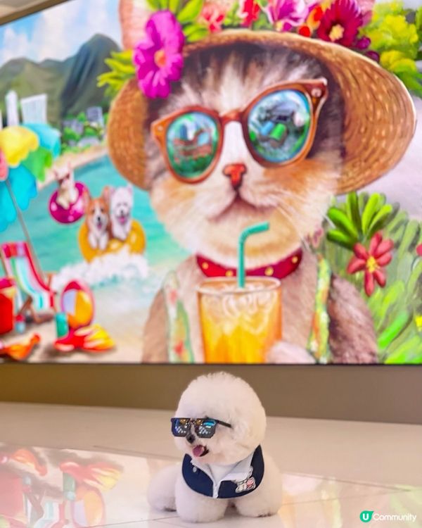 Hey bro , 想同我一樣咁型嗎😎