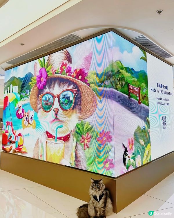 黃竹坑貓貓藝術遊！🐾 夏日打卡chill爆！