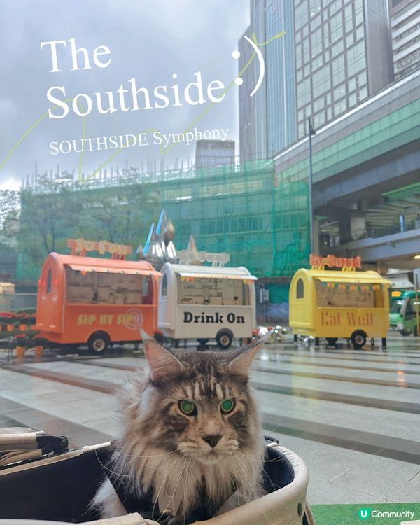 黃竹坑貓貓藝術遊！🐾 夏日打卡chill爆！