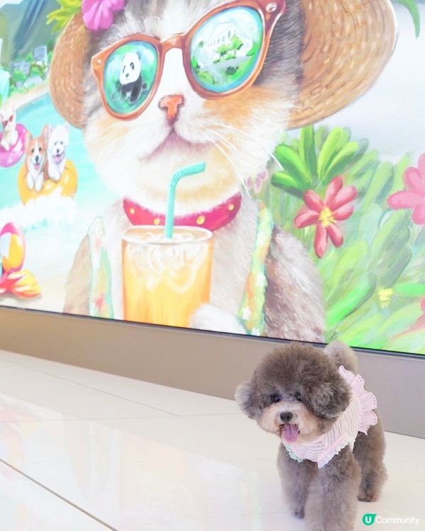 THE SOUTHSIDE又有新打卡位影相喇🎉