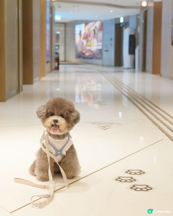 THE SOUTHSIDE又有新打卡位影相喇🎉