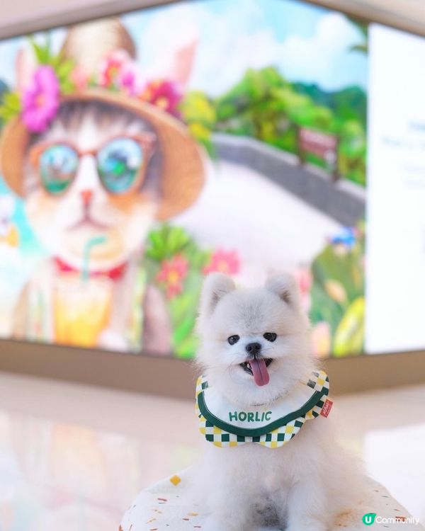 Southside 好多嘢玩！