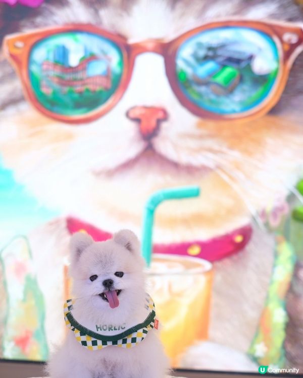 Southside 好多嘢玩！