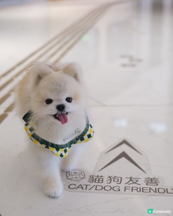 Southside 好多嘢玩！