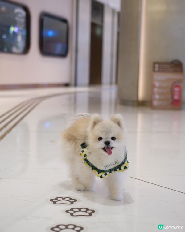 Southside 好多嘢玩！