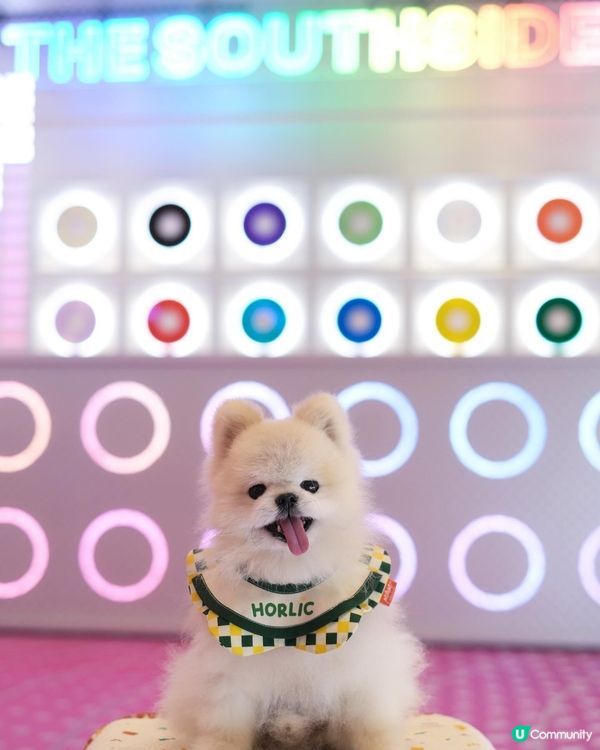 Southside 好多嘢玩！