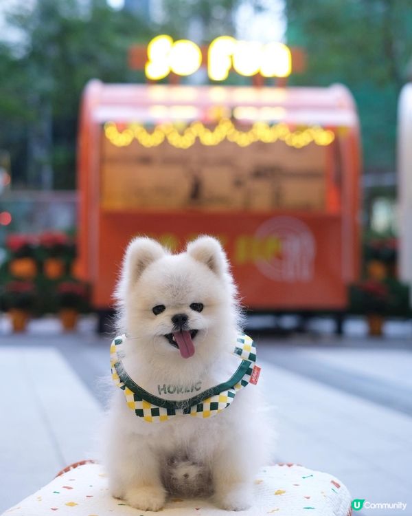 Southside 好多嘢玩！