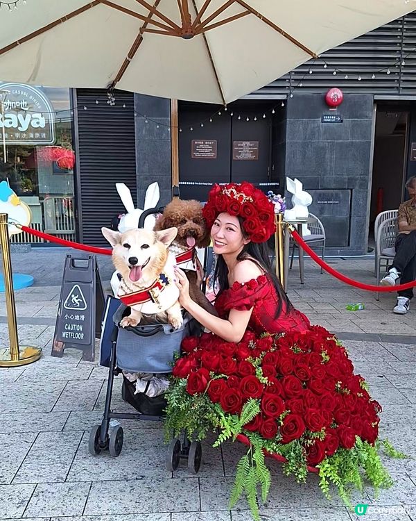 8月玫瑰園打卡送花！🌹 快啲嚟！