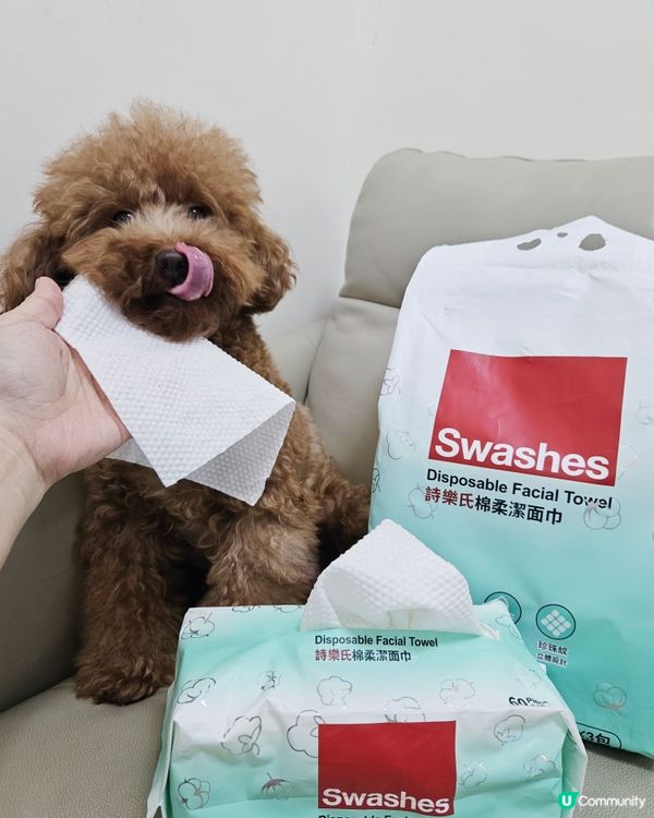 屋企清潔用品分享！詩樂氏回購推介🤩✨