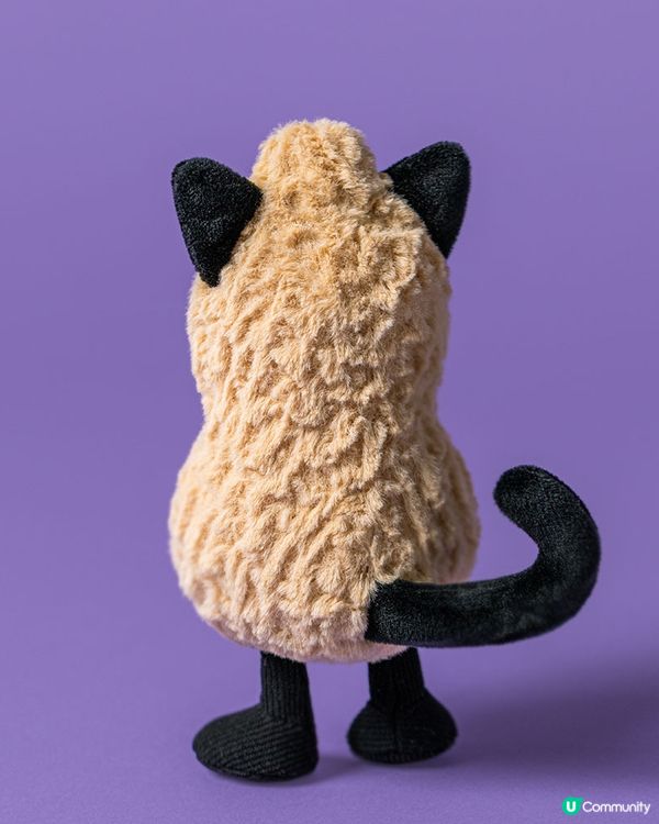 Jellycat萬聖節新品登場！花生貓貓/青口