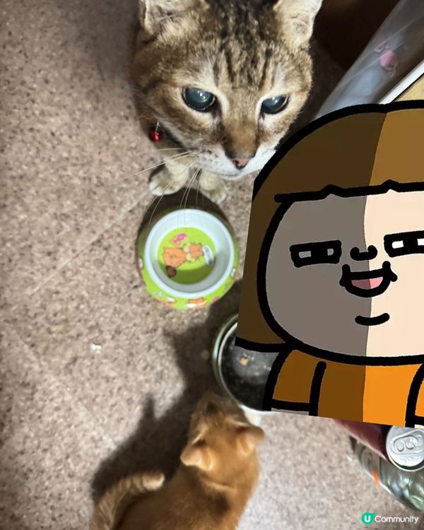 為左食，可以等一陣