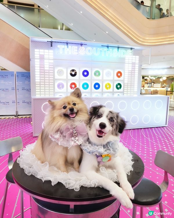 The Southside 3大打卡位