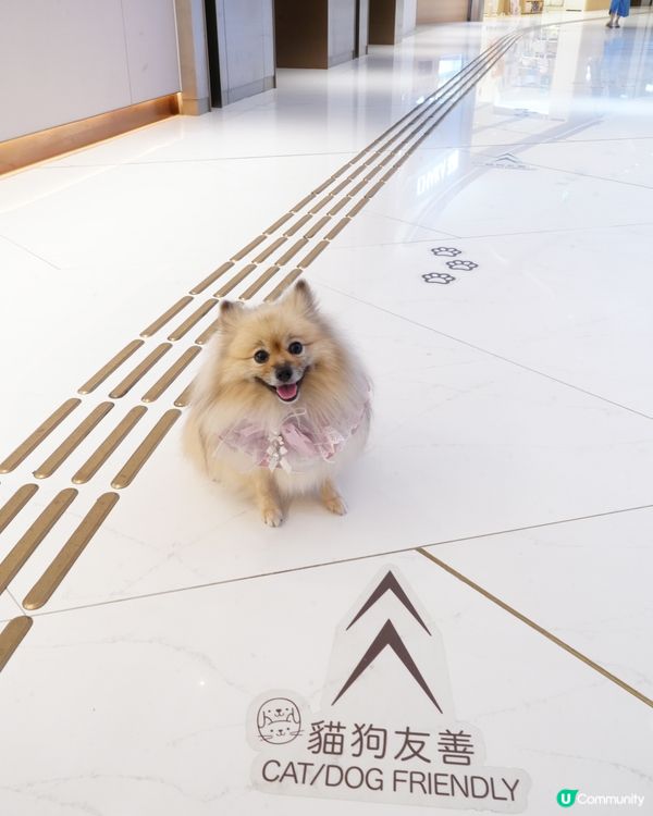 The Southside 3大打卡位