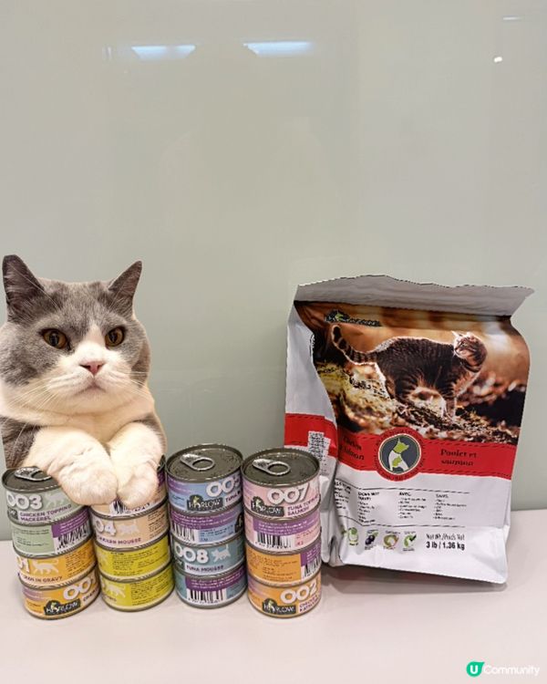 主子食到停唔到口🤤 貓糧罐罐大放送！