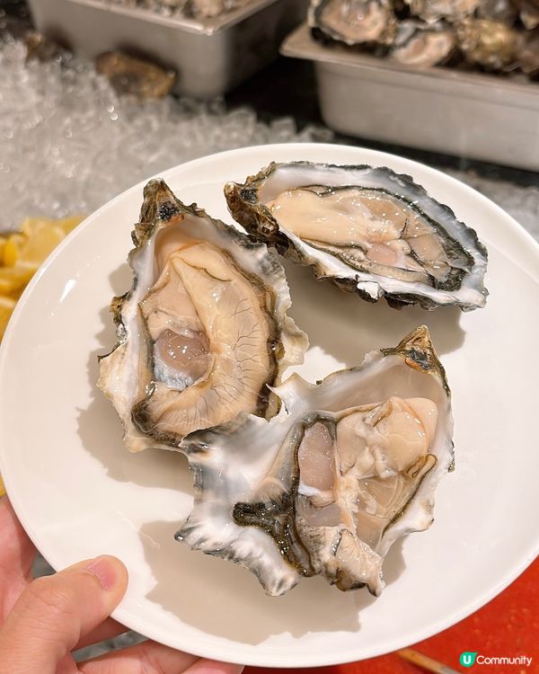 沙田珀麗廳晚市Buffet‼️19:30 入座都仲咁爆場🔥