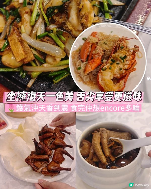 望住海景歎中菜🤤！望月軒二人餐抵食😋！