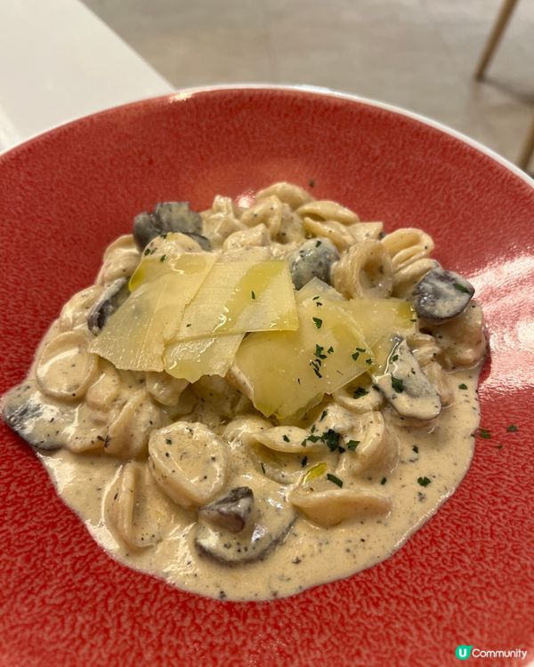 葵芳｜99%會錯過的咖啡店🐲｜屋村文青綠洲✏️