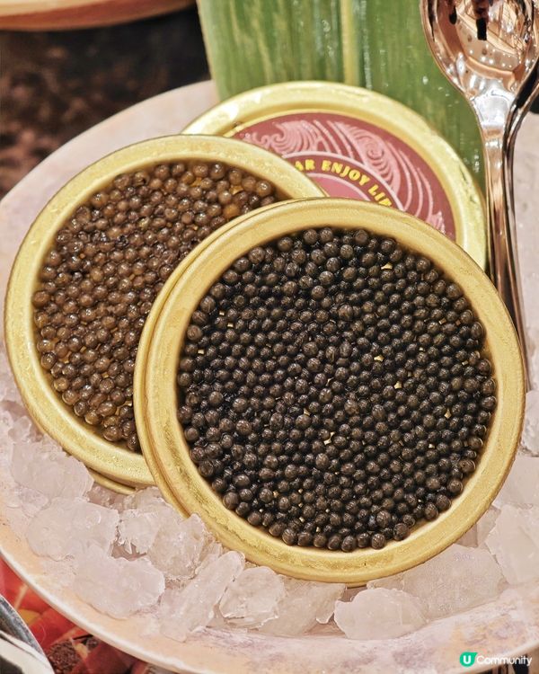 大癲🤩龍蝦🦞鮑魚🔪刺身😍任食