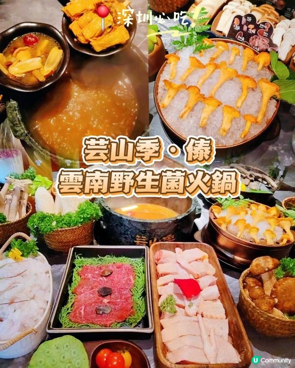深圳必吃🍄芸山季野生菌火鍋大滿足！