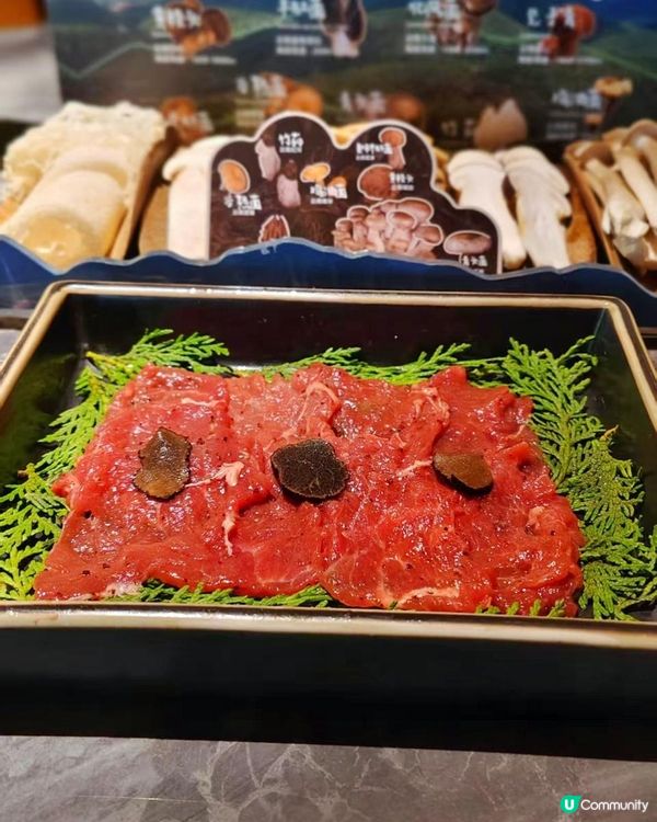 深圳必吃🍄芸山季野生菌火鍋大滿足！