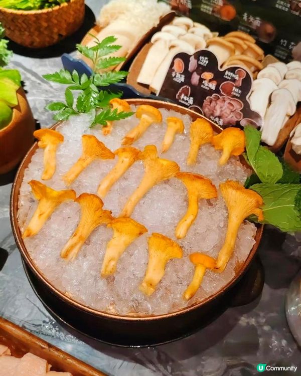 深圳必吃🍄芸山季野生菌火鍋大滿足！