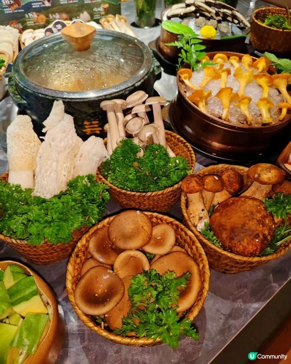 深圳必吃🍄芸山季野生菌火鍋大滿足！