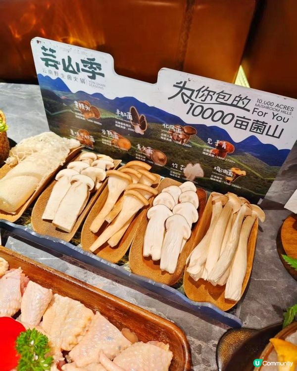 深圳必吃🍄芸山季野生菌火鍋大滿足！