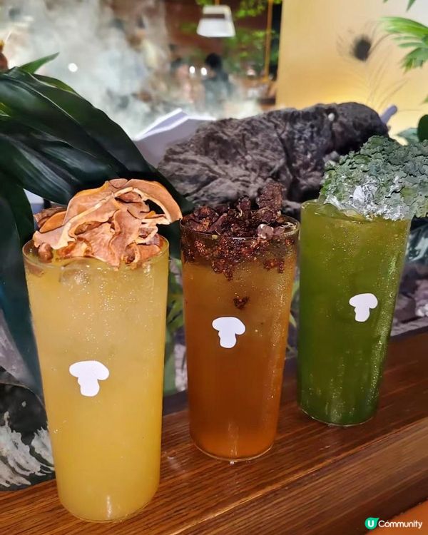 深圳必吃🍄芸山季野生菌火鍋大滿足！