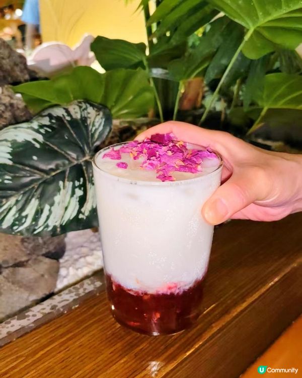 深圳必吃🍄芸山季野生菌火鍋大滿足！