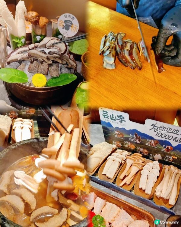 深圳必吃🍄芸山季野生菌火鍋大滿足！