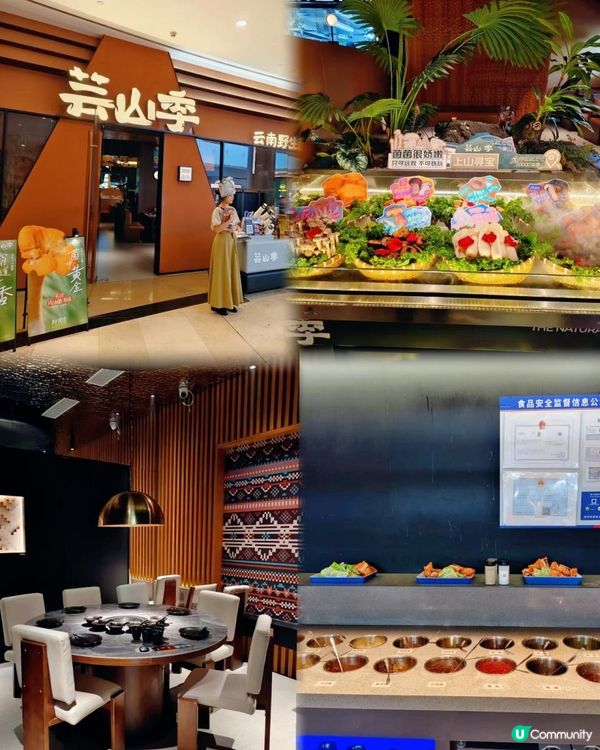 深圳必吃🍄芸山季野生菌火鍋大滿足！