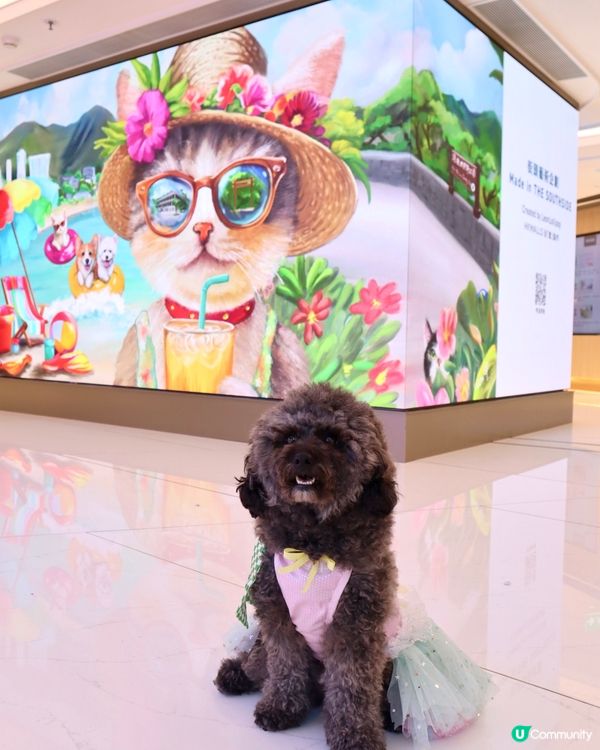 THE SOUTHSIDE 貓狗友善商場