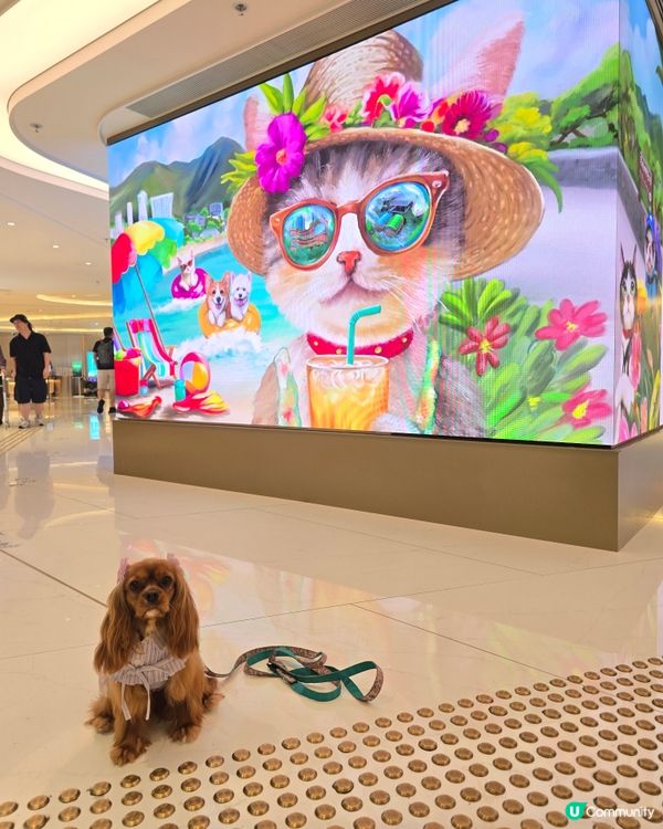 黃竹坑THE SOUTHSIDE打卡攻略