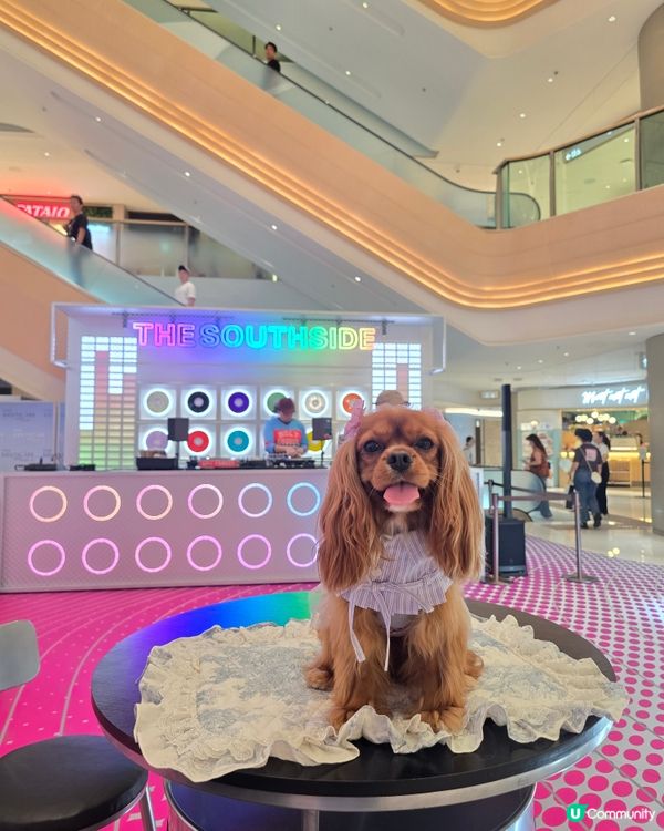 黃竹坑THE SOUTHSIDE打卡攻略