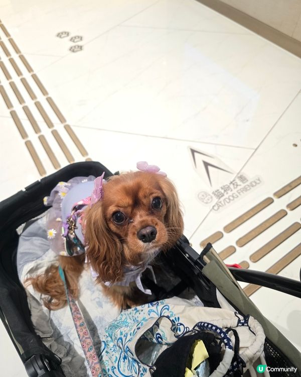 黃竹坑THE SOUTHSIDE打卡攻略