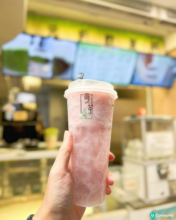 開心果白玉鮮奶茶🤤！旺角夏茶開張啦🥳