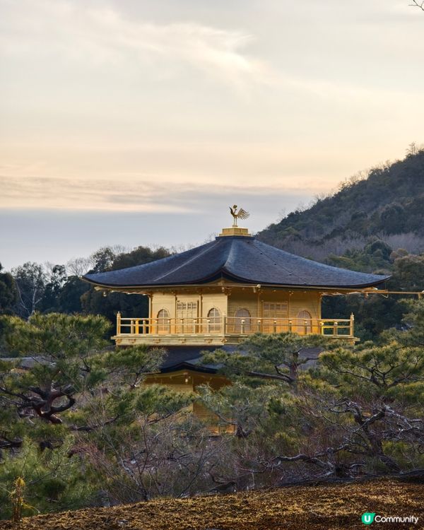 世界文化遺產—京都金閣寺