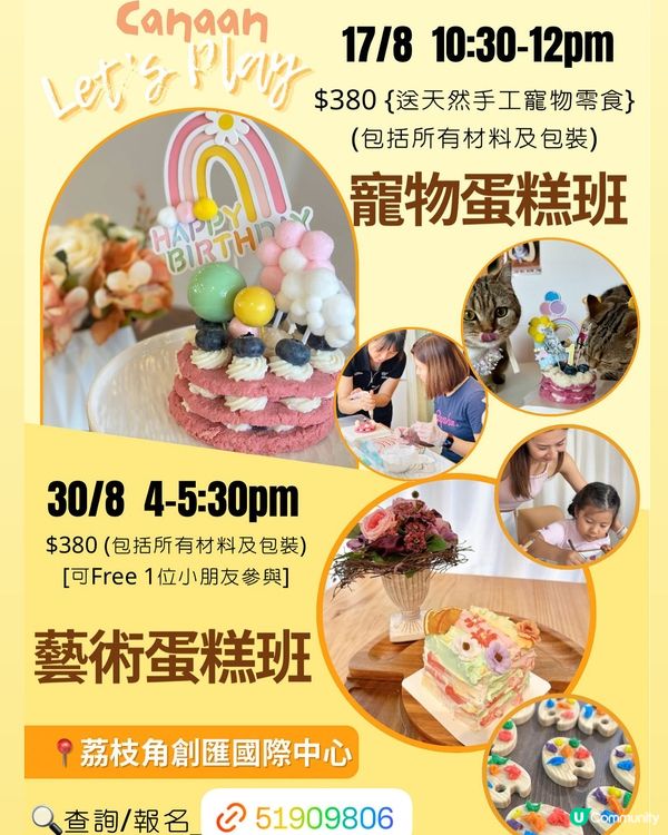 🐶 寵物/成人 鮮食蛋糕班！健康又好味！🎂😋