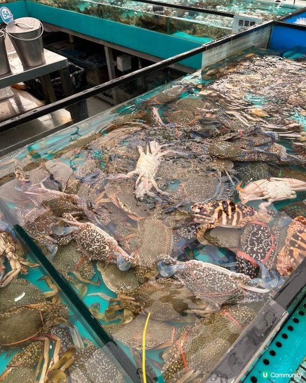 千海水產放題🤤！食好西！🦀🦐