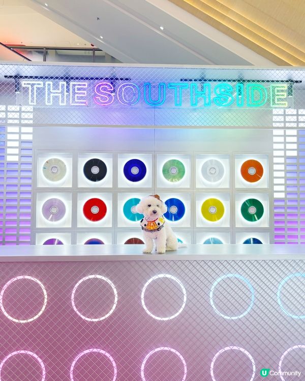 🐾【港島南新打卡熱點】✨ 