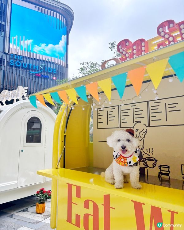 🐾【港島南新打卡熱點】✨ 