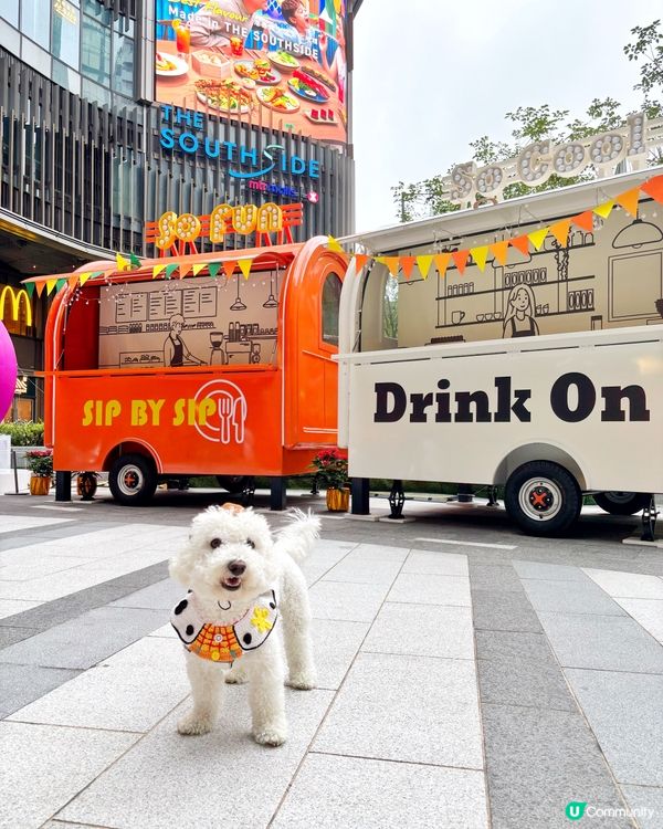 🐾【港島南新打卡熱點】✨ 