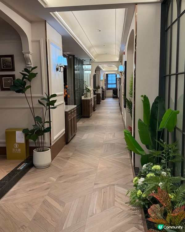 深圳一日遊！食玩買全攻略 🤩