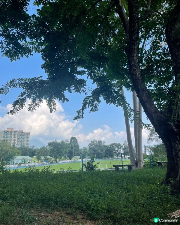 夏日炎炎去camping