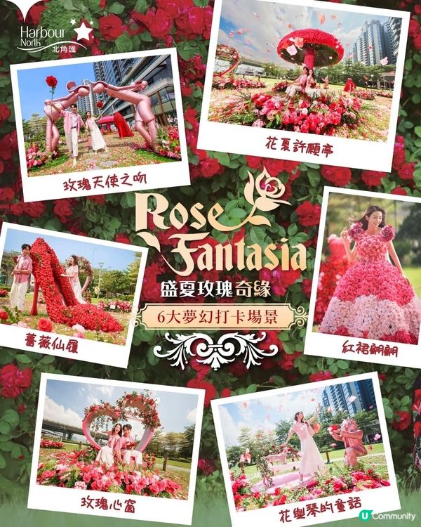 北角匯Rose Fantasia盛夏玫瑰奇緣 