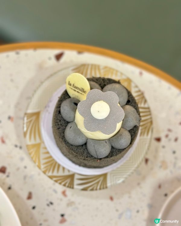 新推出沙律🥗吃完再吃蛋糕🍰