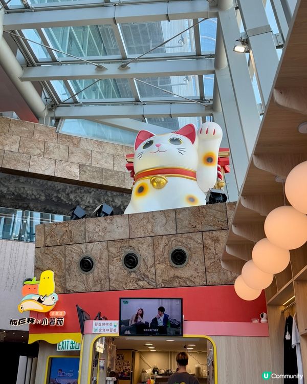  倆仨杯x小薯茄(旺角）