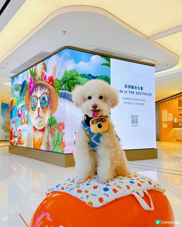 The Southside又有嘢玩 #寵物友善商場 